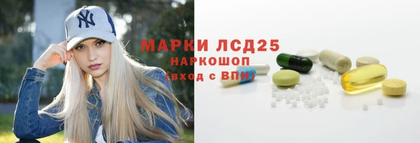 индика Михайлов