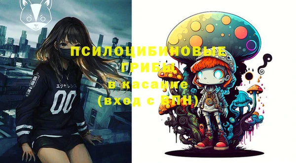 СК Михайловск