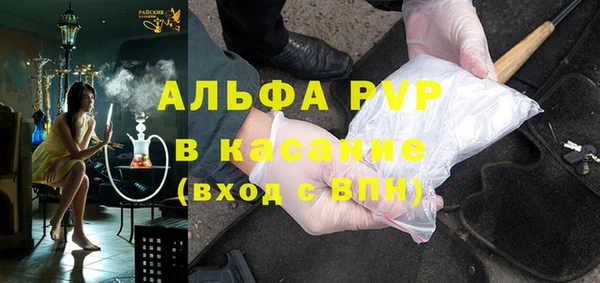 индика Михайлов