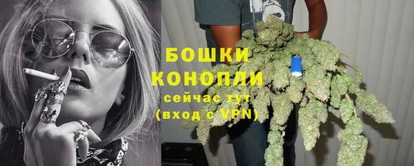 индика Михайлов