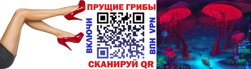 Галлюциногенные грибы GOLDEN TEACHER  даркнет как зайти  Карачев 