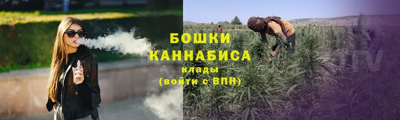 Бошки марихуана White Widow  Карачев 